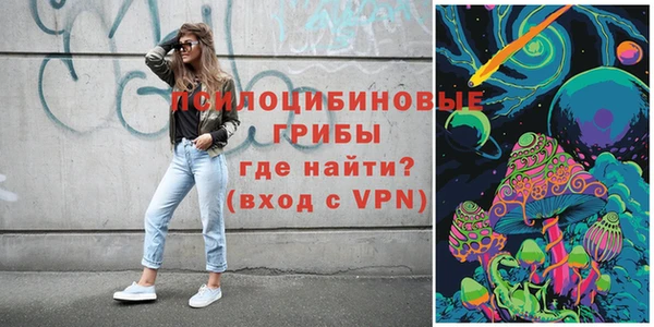 тгк Снежинск