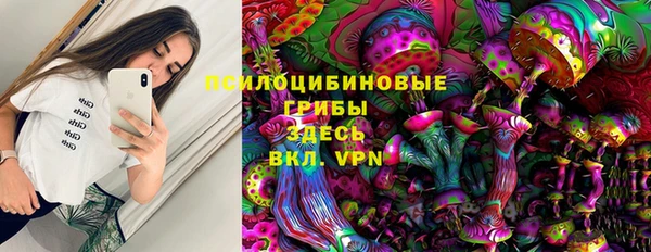 дживик Новокубанск