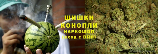 тгк Снежинск