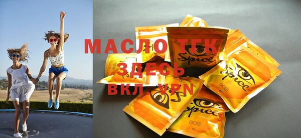 тгк Снежинск