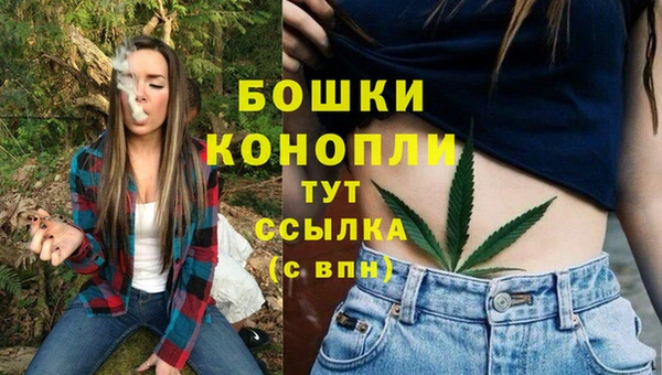 скорость Снежногорск
