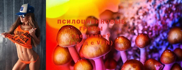 твердый Зеленокумск