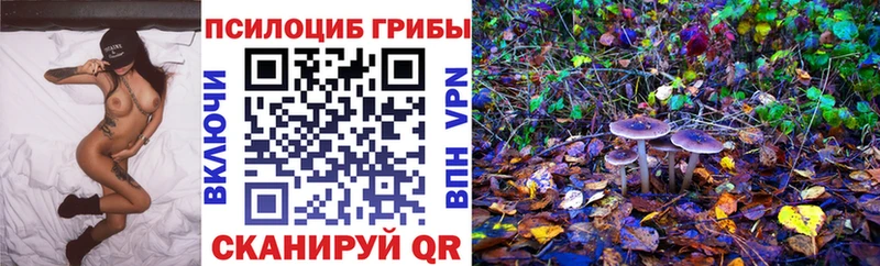 Псилоцибиновые грибы Psilocybine cubensis блэк спрут ONION Семёнов